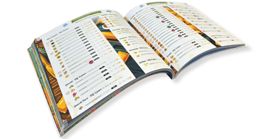 pages 2026