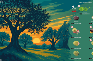 Huiles d'Olives